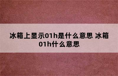 冰箱上显示01h是什么意思 冰箱01h什么意思